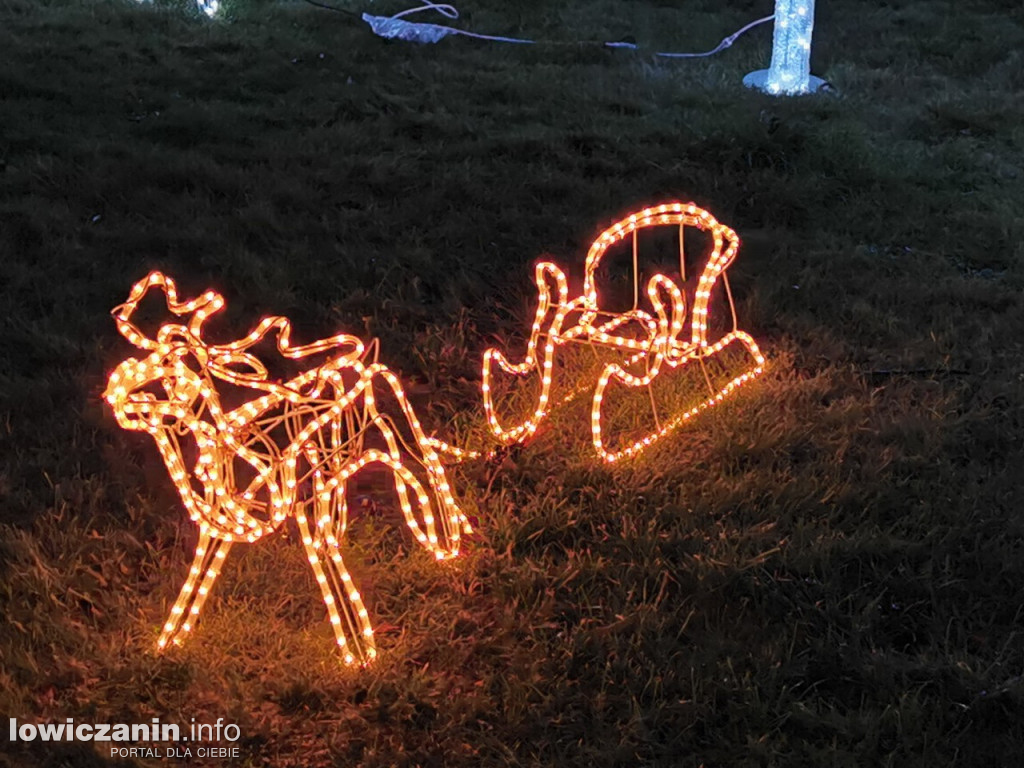 Iluminacje w ogrodzie Państwa Tadeusiaków w Łowiczu