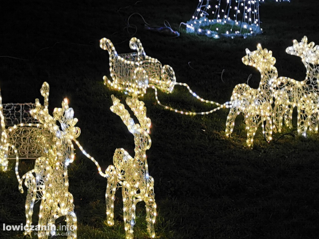 Iluminacje w ogrodzie Państwa Tadeusiaków w Łowiczu