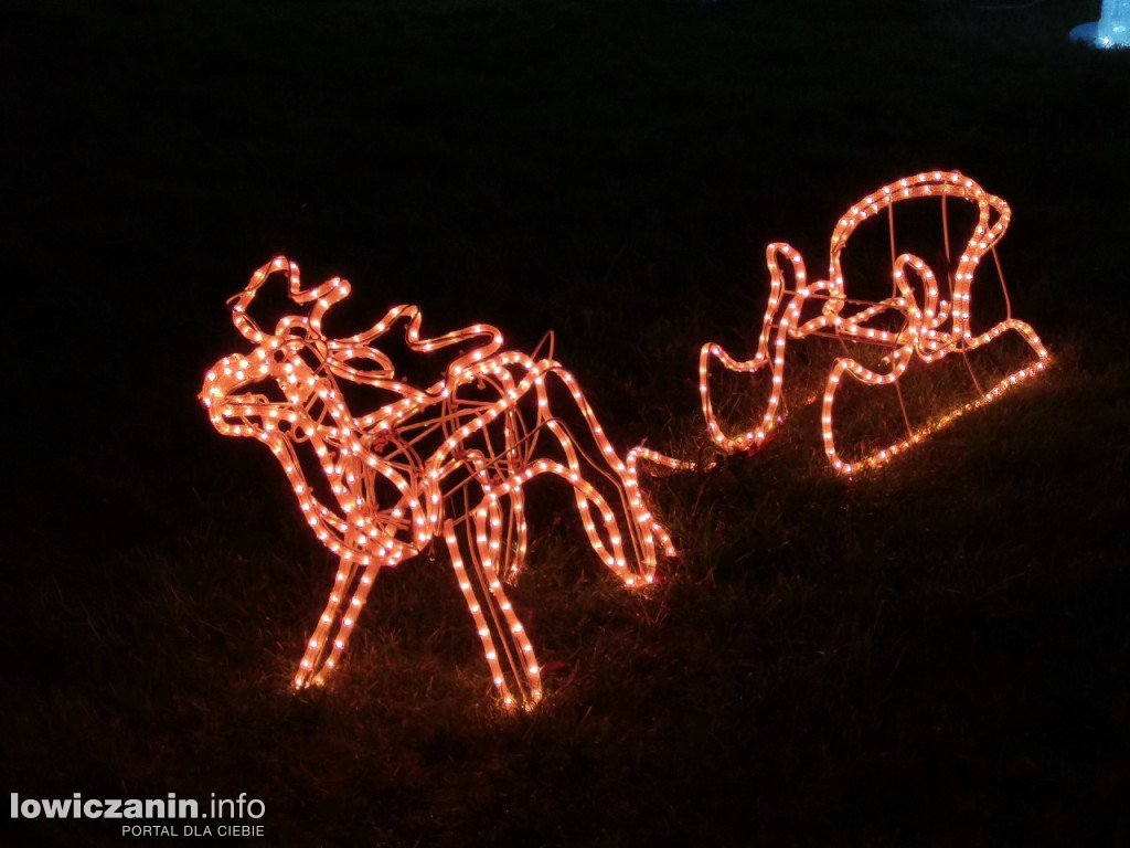 Iluminacje w ogrodzie Państwa Tadeusiaków w Łowiczu