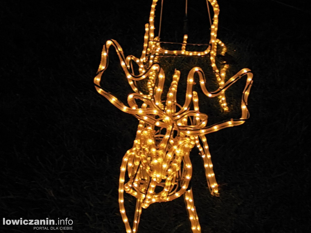Iluminacje w ogrodzie Państwa Tadeusiaków w Łowiczu