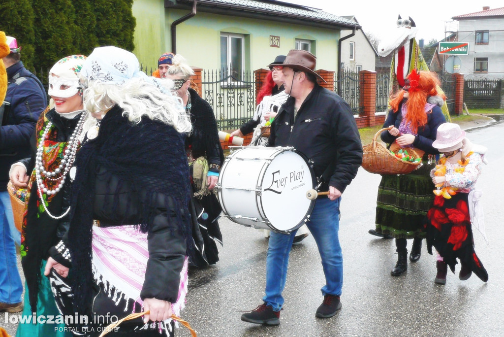 Chodzenie z Misiem w gminie Nieborów