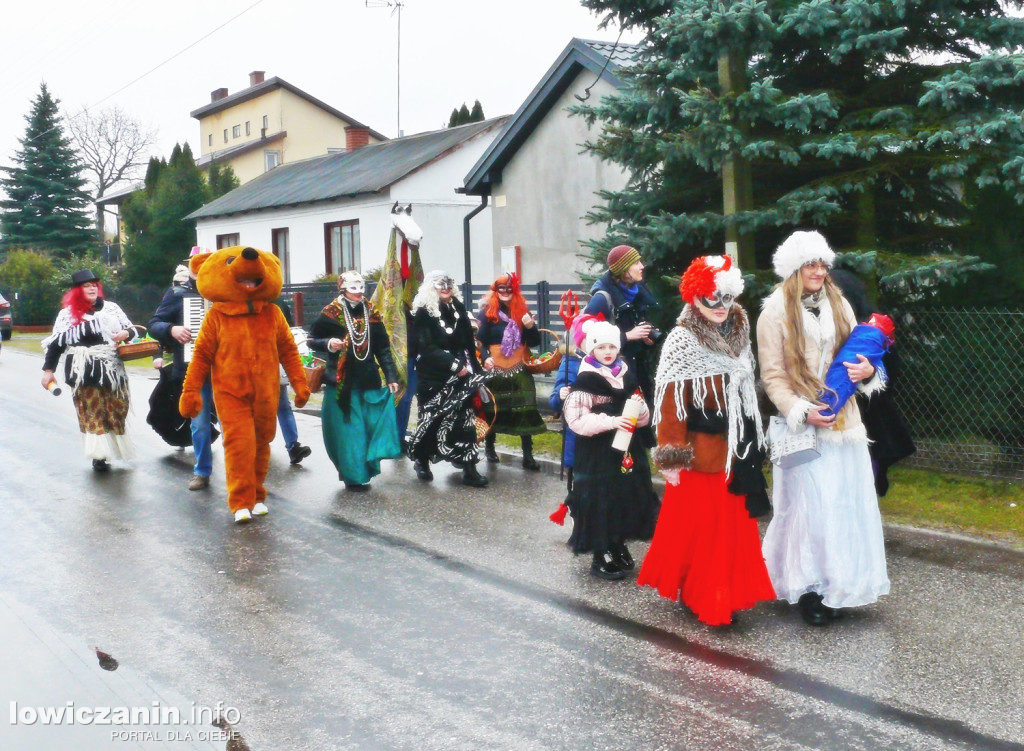 Chodzenie z Misiem w gminie Nieborów