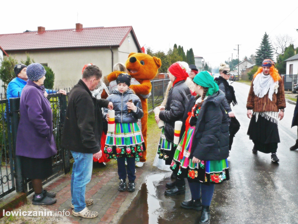 Chodzenie z Misiem w gminie Nieborów