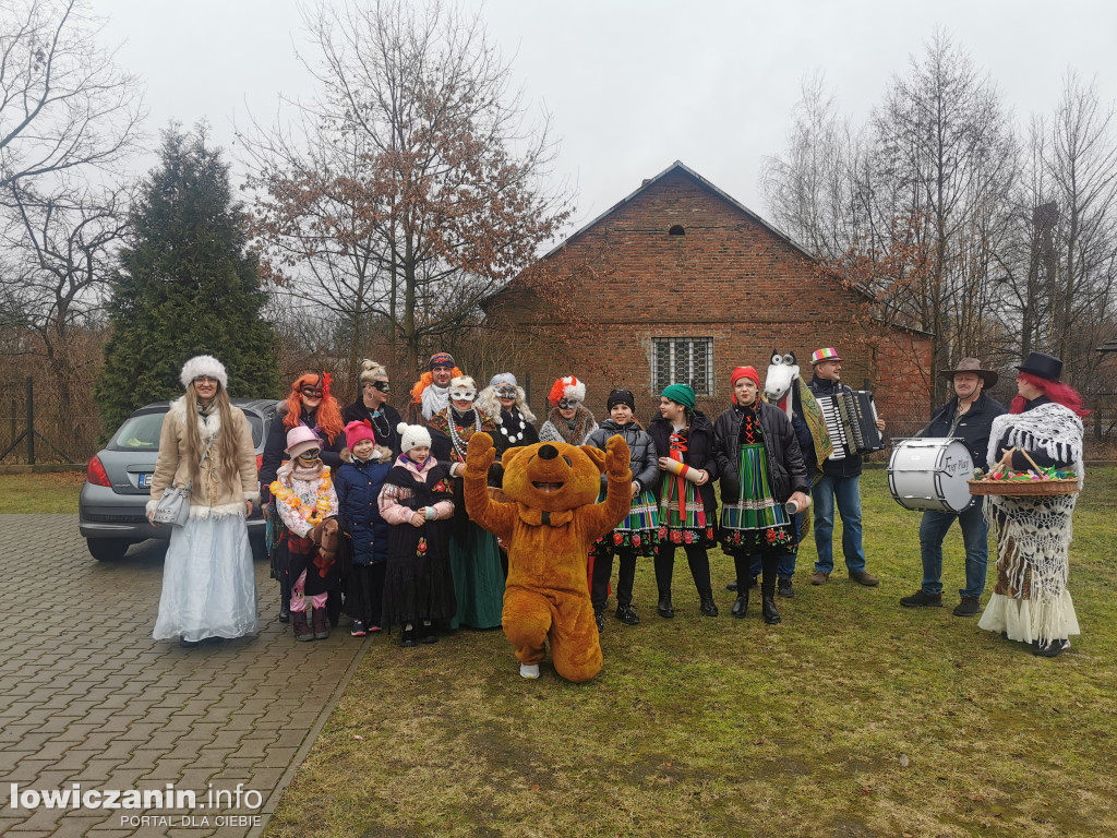 Chodzenie z Misiem w gminie Nieborów