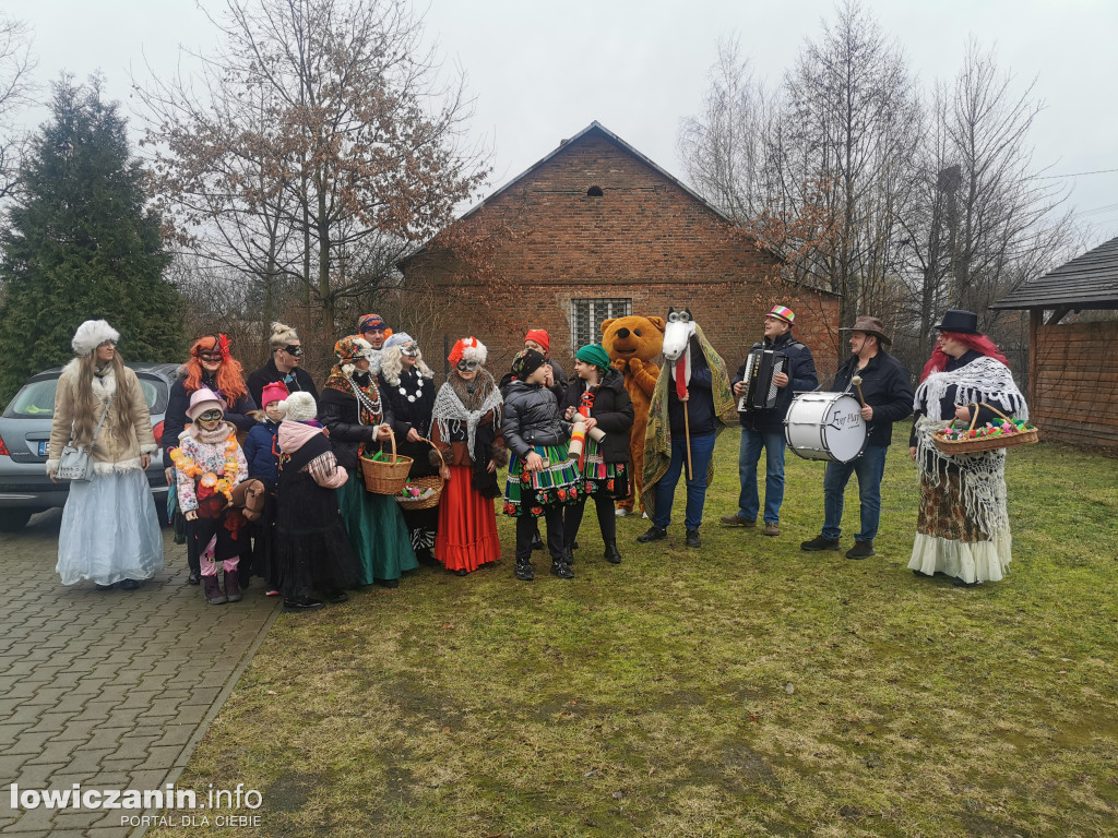 Chodzenie z Misiem w gminie Nieborów