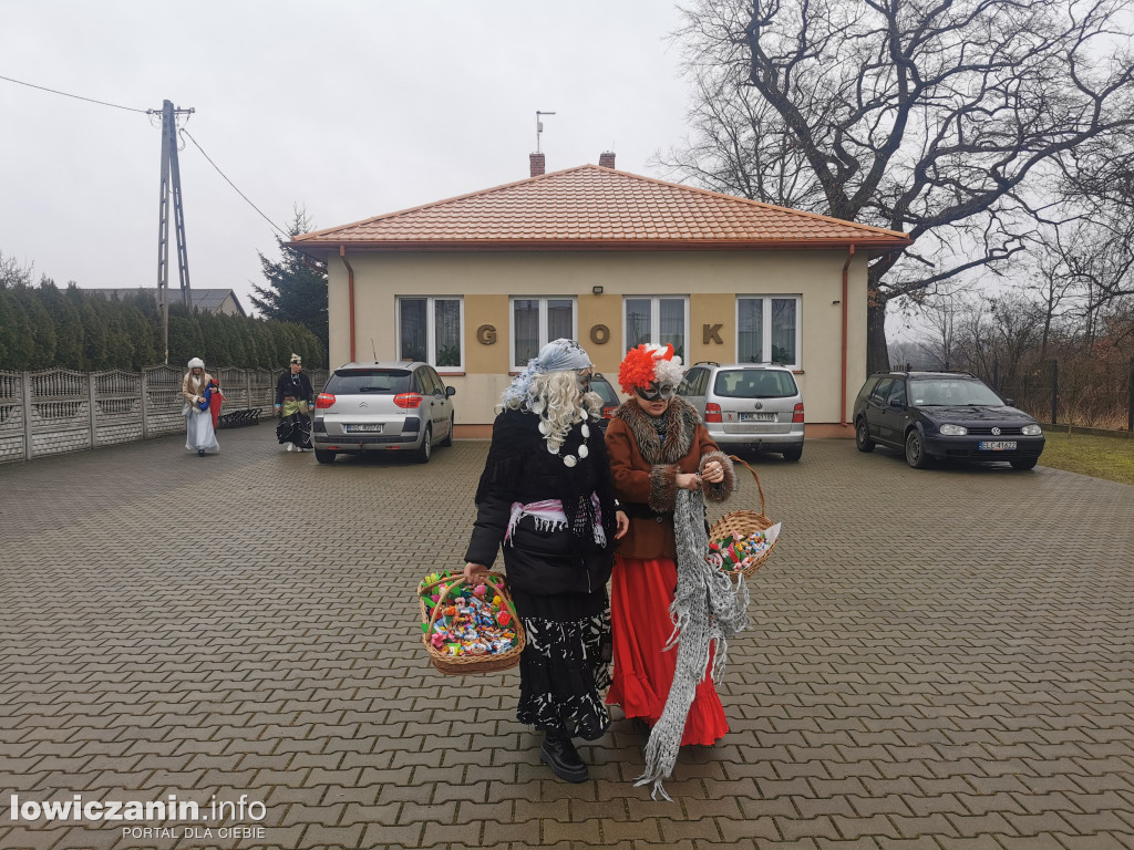 Chodzenie z Misiem w gminie Nieborów