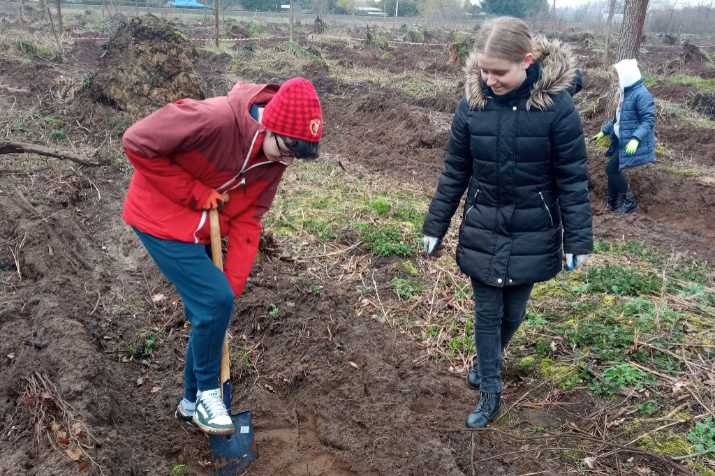 Uczniowie SP nr 2 w Łowiczu sadzili drzewa w Lesie Miejskim