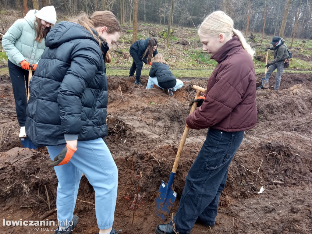 Uczniowie SP nr 2 w Łowiczu sadzili drzewa w Lesie Miejskim