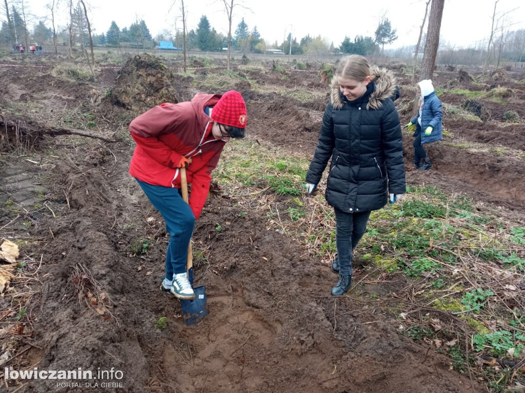 Uczniowie SP nr 2 w Łowiczu sadzili drzewa w Lesie Miejskim