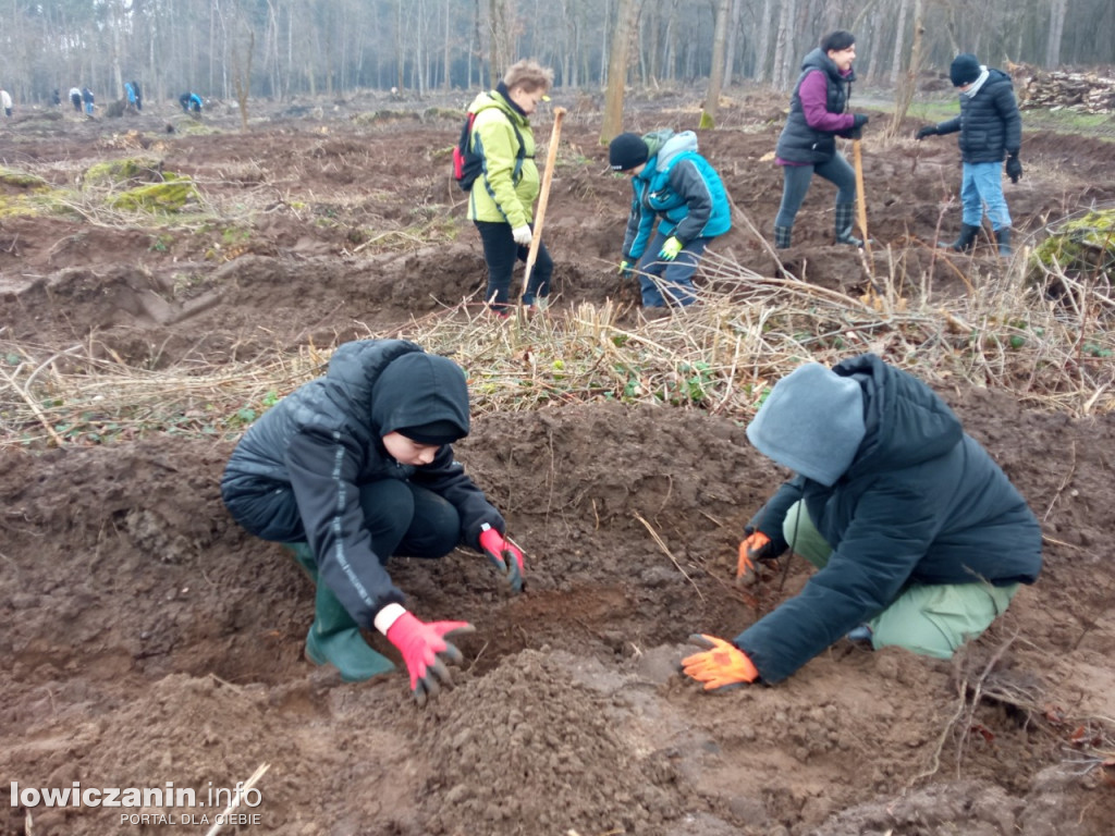 Uczniowie SP nr 2 w Łowiczu sadzili drzewa w Lesie Miejskim