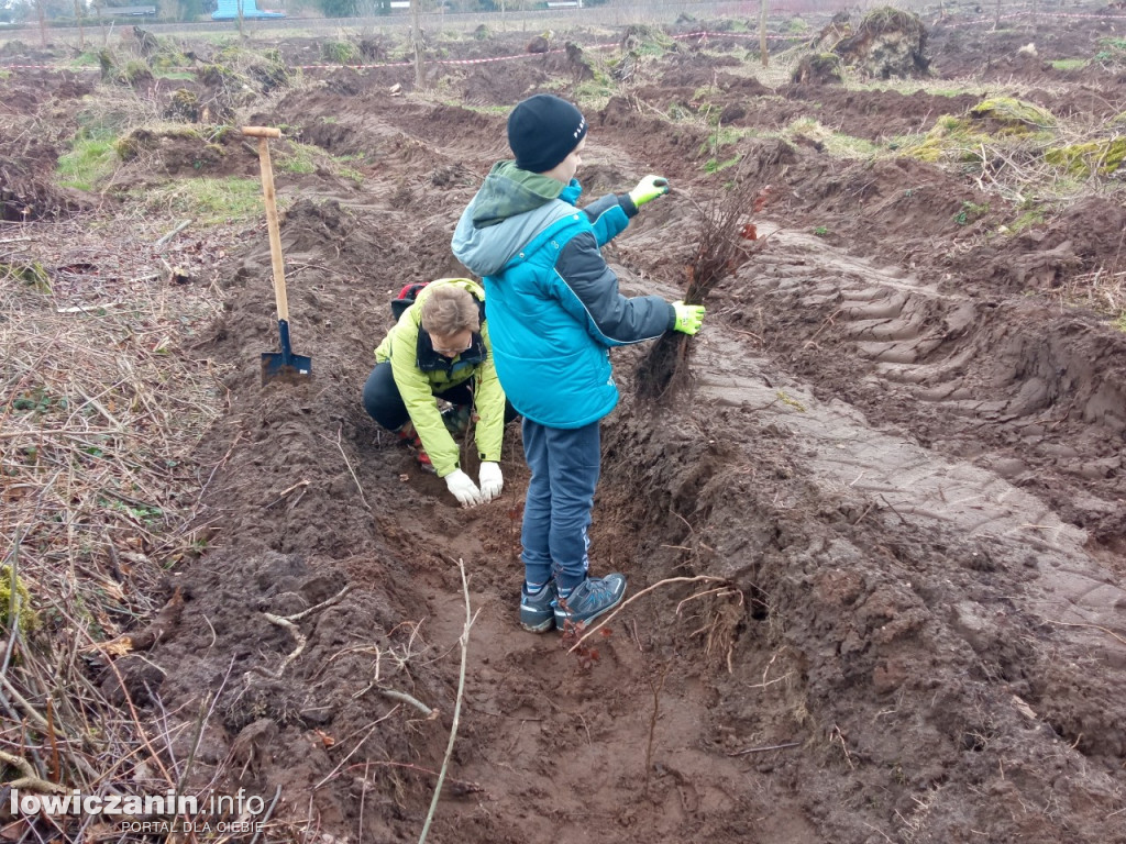 Uczniowie SP nr 2 w Łowiczu sadzili drzewa w Lesie Miejskim