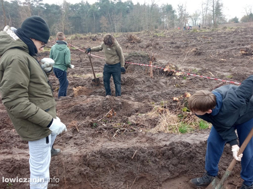 Uczniowie SP nr 2 w Łowiczu sadzili drzewa w Lesie Miejskim