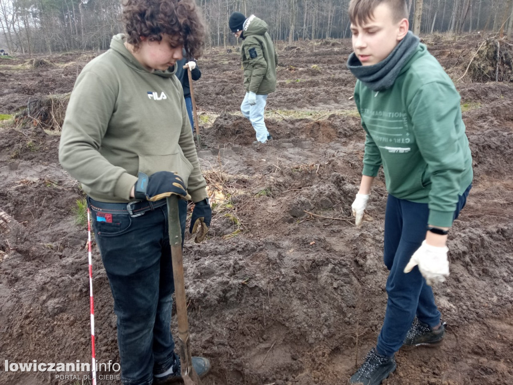 Uczniowie SP nr 2 w Łowiczu sadzili drzewa w Lesie Miejskim