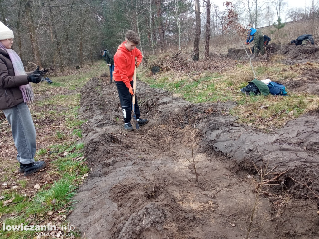 Uczniowie SP nr 2 w Łowiczu sadzili drzewa w Lesie Miejskim