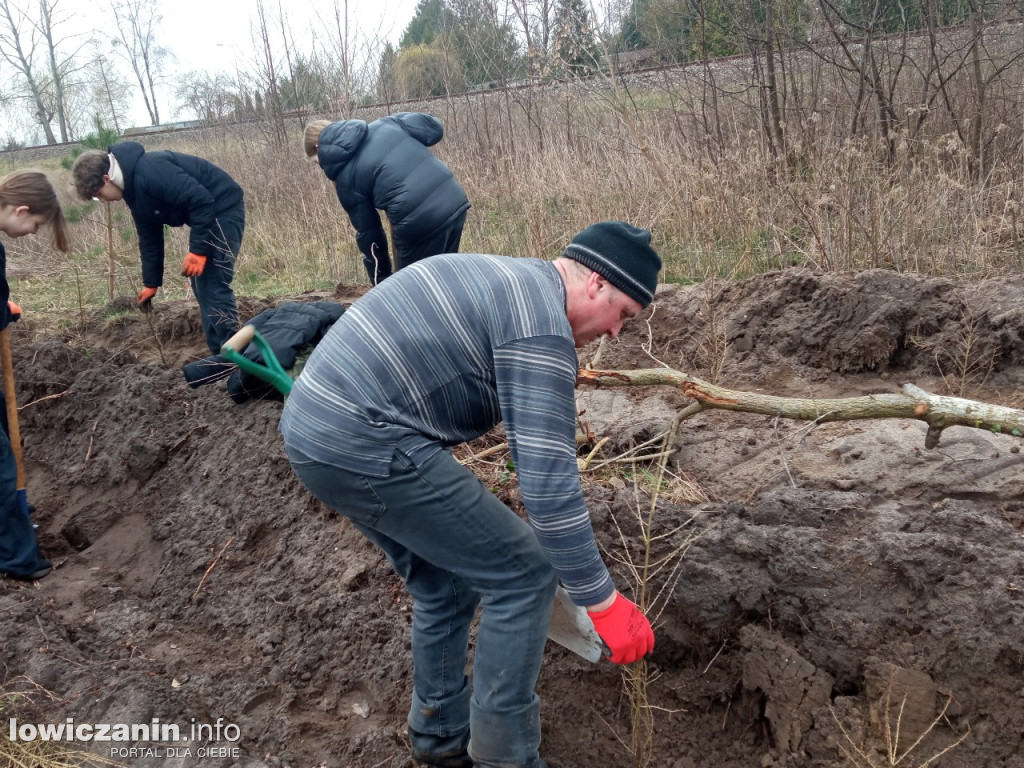 Uczniowie SP nr 2 w Łowiczu sadzili drzewa w Lesie Miejskim