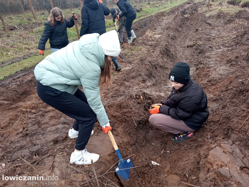 Uczniowie SP nr 2 w Łowiczu sadzili drzewa w Lesie Miejskim