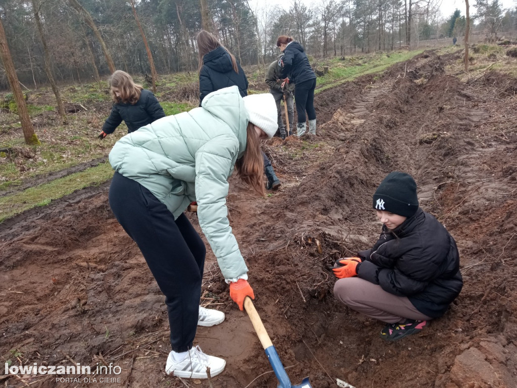 Uczniowie SP nr 2 w Łowiczu sadzili drzewa w Lesie Miejskim