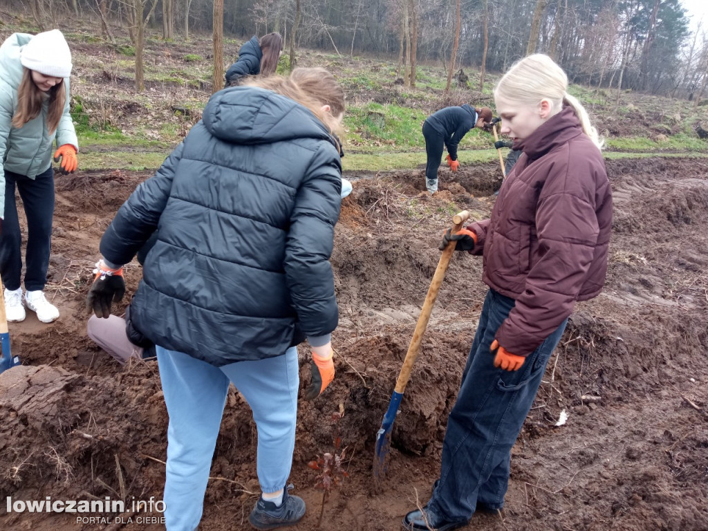 Uczniowie SP nr 2 w Łowiczu sadzili drzewa w Lesie Miejskim