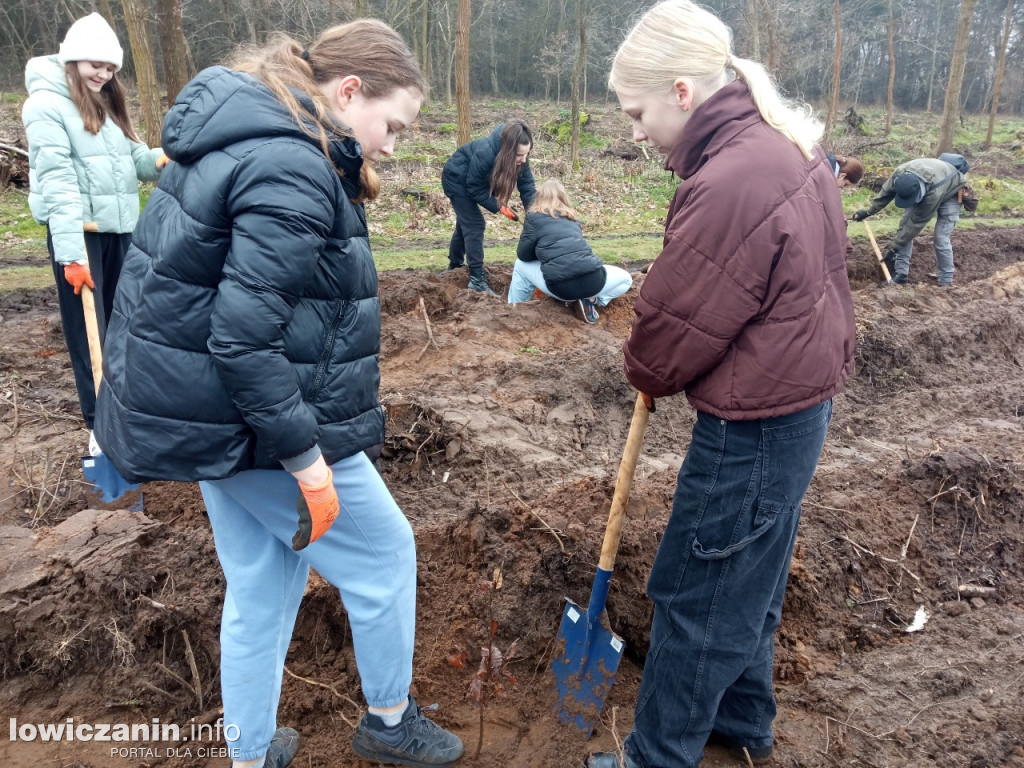 Uczniowie SP nr 2 w Łowiczu sadzili drzewa w Lesie Miejskim