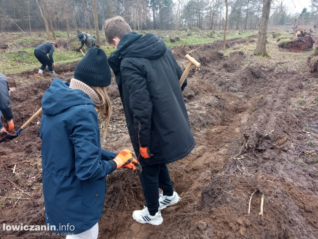 Uczniowie SP nr 2 w Łowiczu sadzili drzewa w Lesie Miejskim