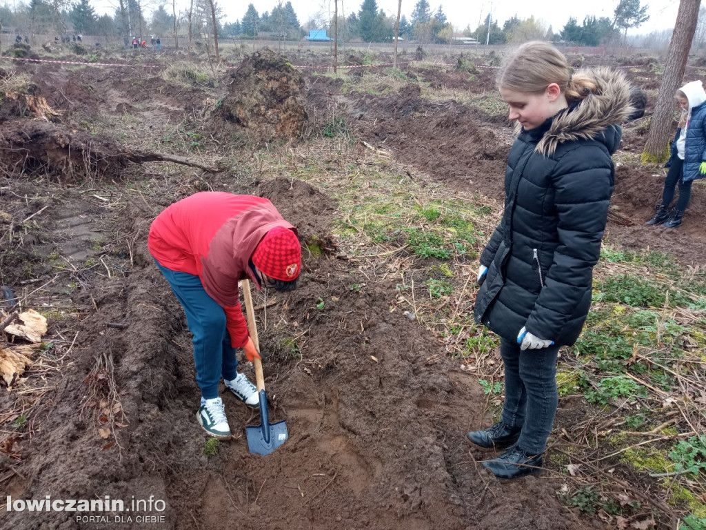 Uczniowie SP nr 2 w Łowiczu sadzili drzewa w Lesie Miejskim