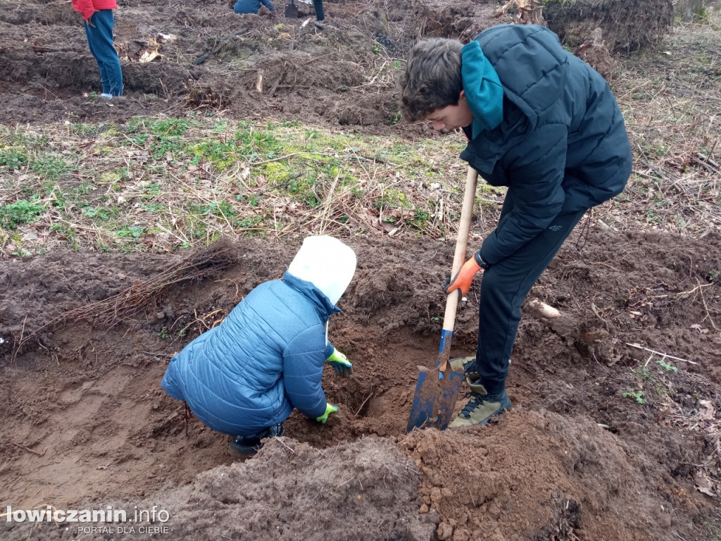 Uczniowie SP nr 2 w Łowiczu sadzili drzewa w Lesie Miejskim