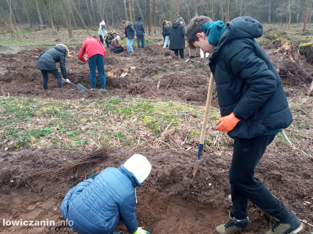 Uczniowie SP nr 2 w Łowiczu sadzili drzewa w Lesie Miejskim