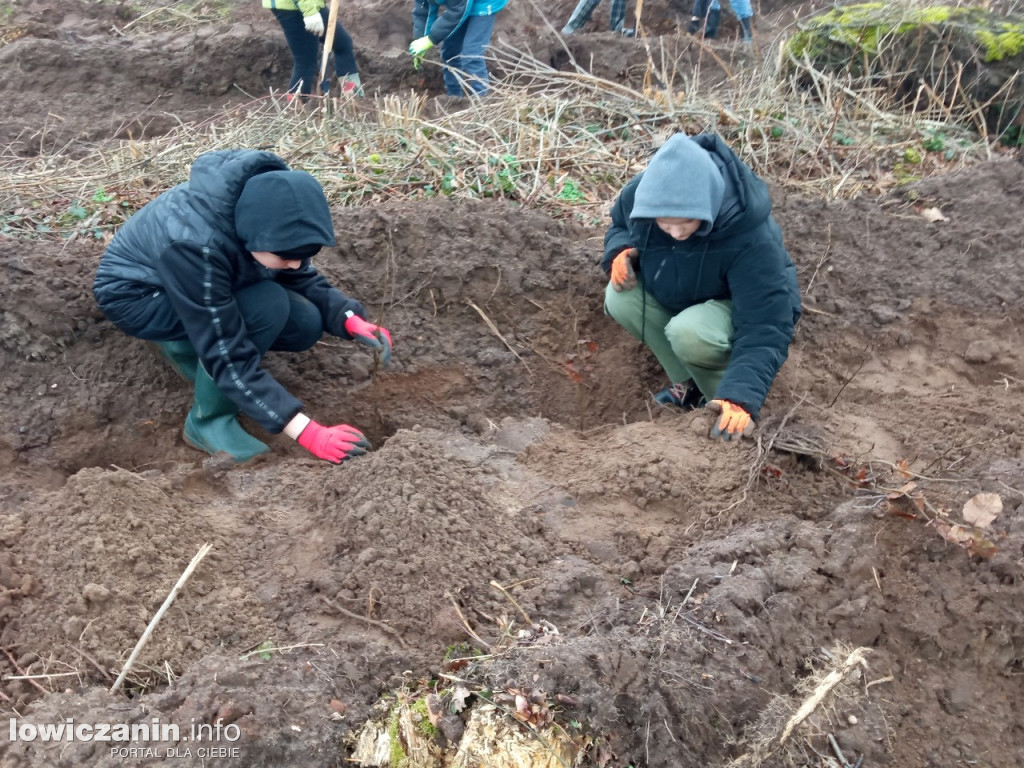 Uczniowie SP nr 2 w Łowiczu sadzili drzewa w Lesie Miejskim