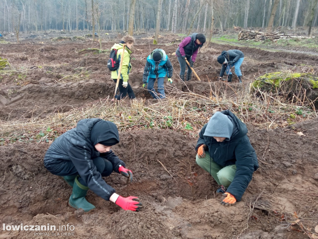 Uczniowie SP nr 2 w Łowiczu sadzili drzewa w Lesie Miejskim