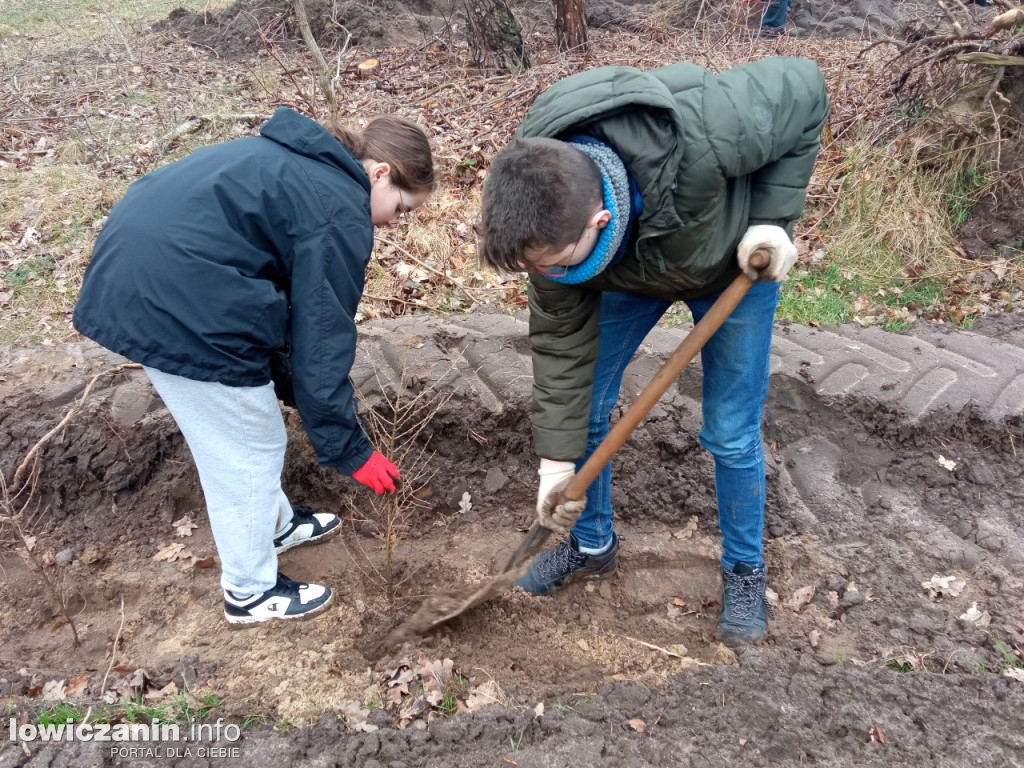 Uczniowie SP nr 2 w Łowiczu sadzili drzewa w Lesie Miejskim