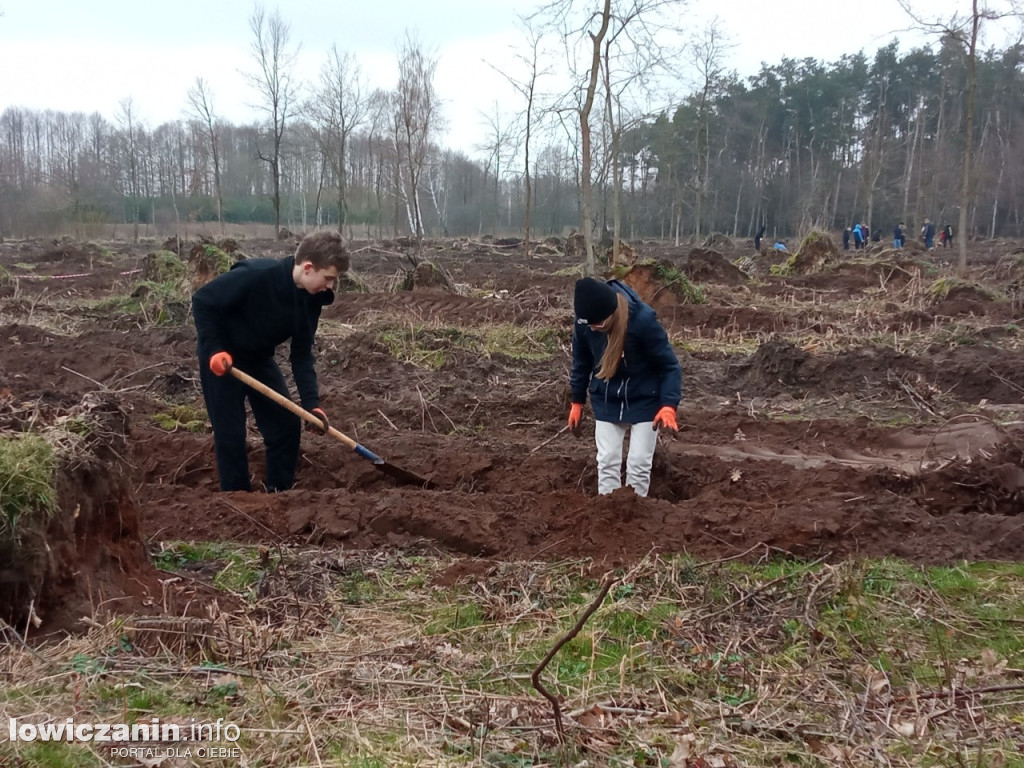 Uczniowie SP nr 2 w Łowiczu sadzili drzewa w Lesie Miejskim