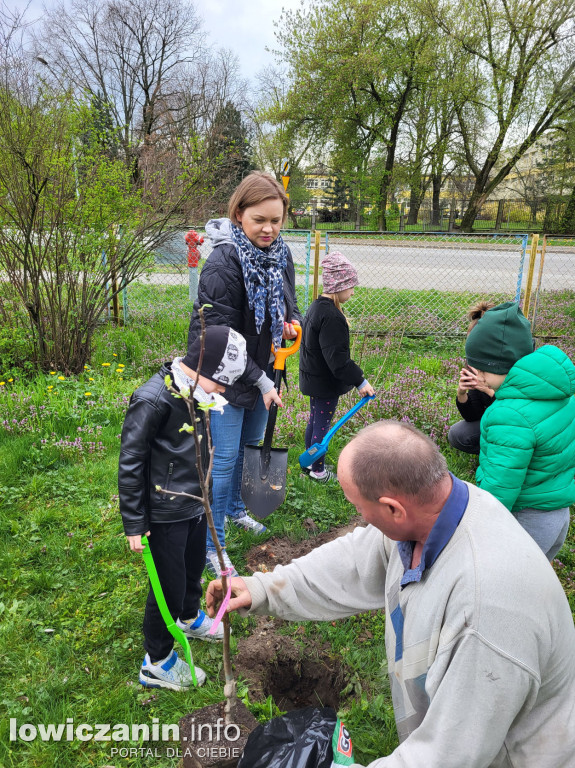 Przedszkolaki ze Stokrotki sadzą drzewa