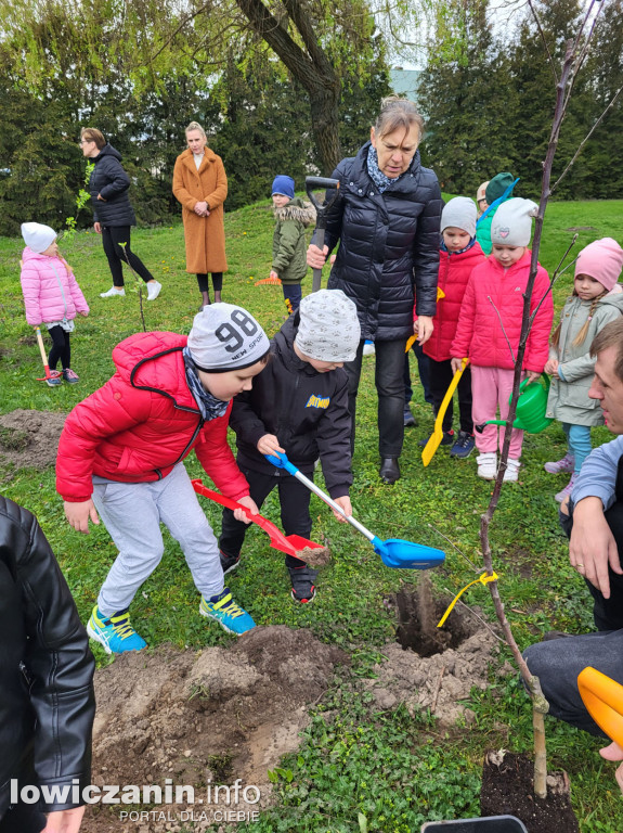 Przedszkolaki ze Stokrotki sadzą drzewa