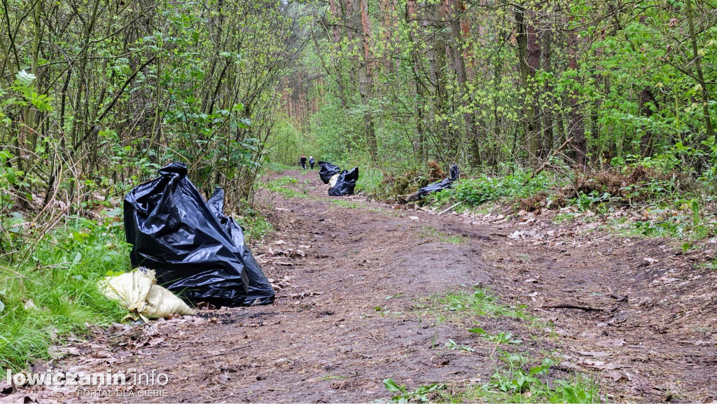 Dzień Ziemi. Łowiccy harcerze posprzątali las w Arkadii