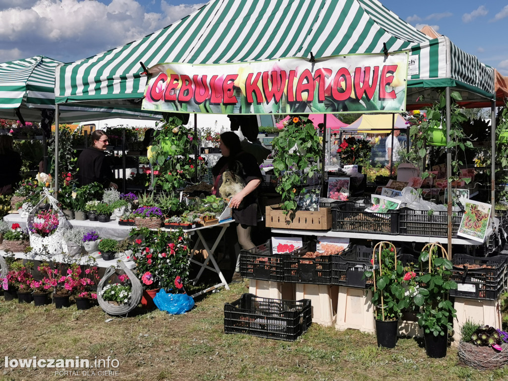 Pierwszy dzień targów Agrotechnika w Bratoszewicach