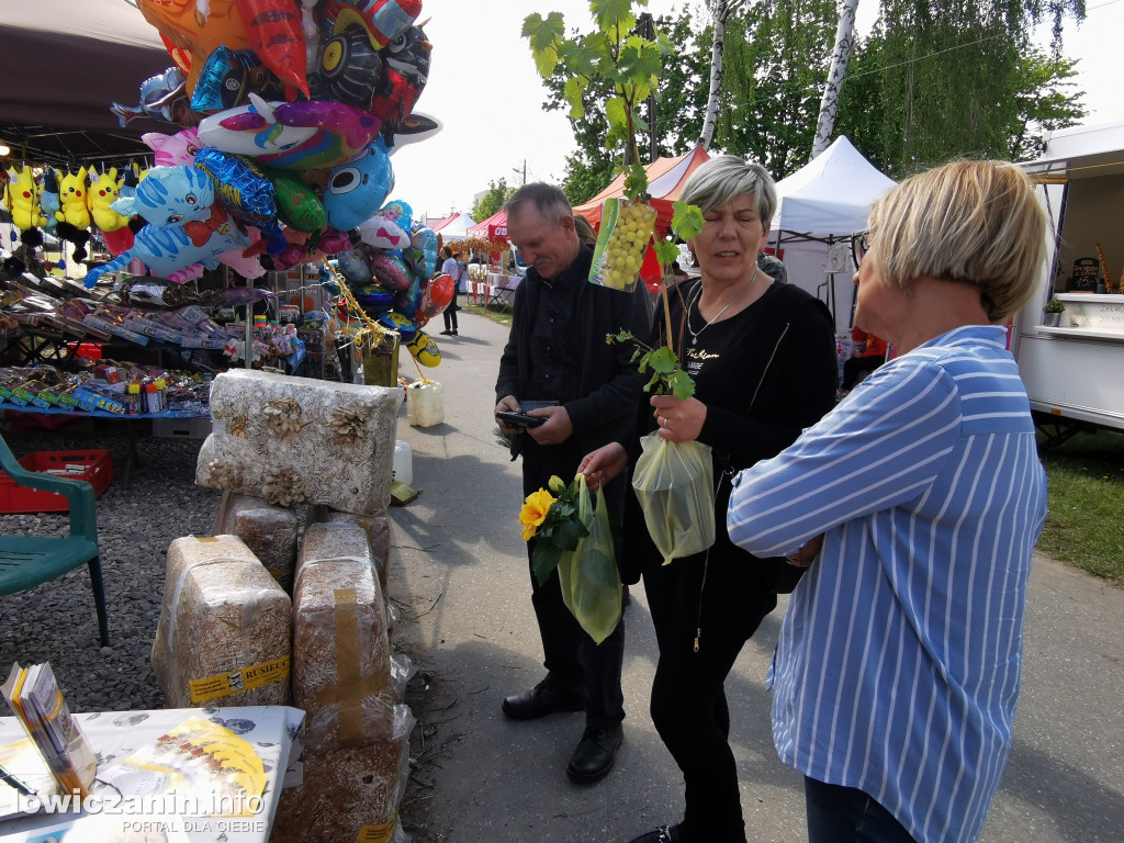 Pierwszy dzień targów Agrotechnika w Bratoszewicach