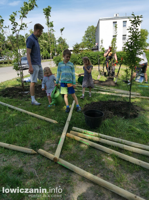 Akcja sadzenia drzew na os. Zatorze