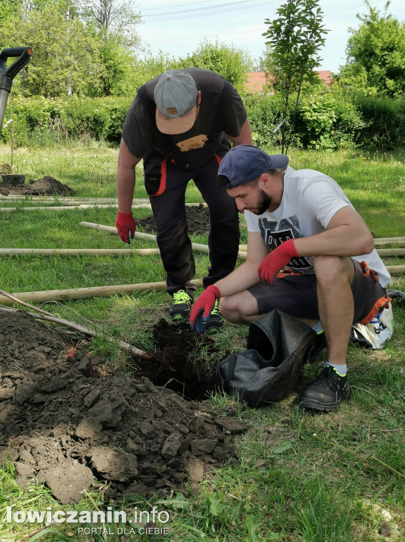 Akcja sadzenia drzew na os. Zatorze