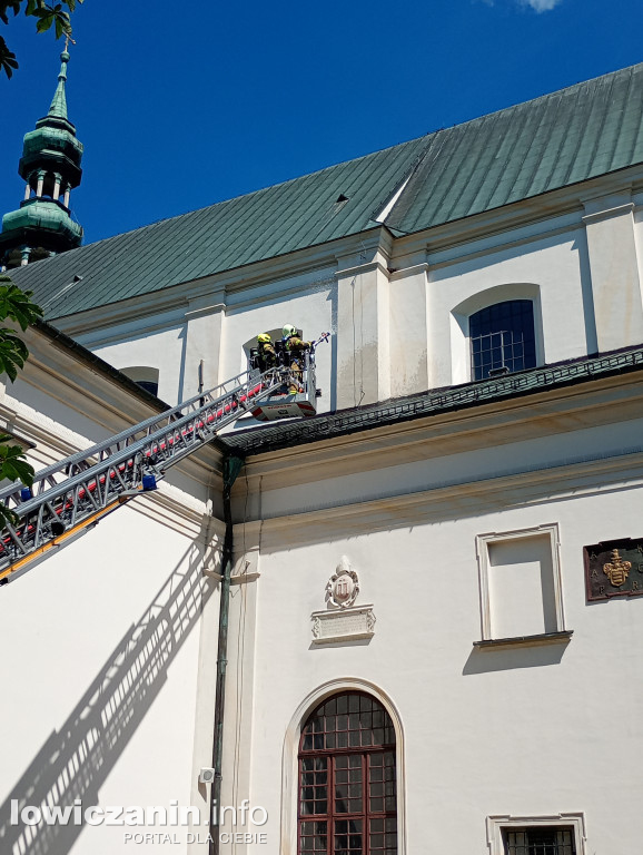 Ponad 100 strażaków w łowickiej Katedrze