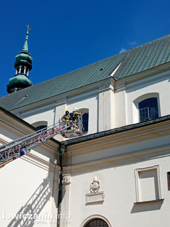 Ponad 100 strażaków w łowickiej Katedrze