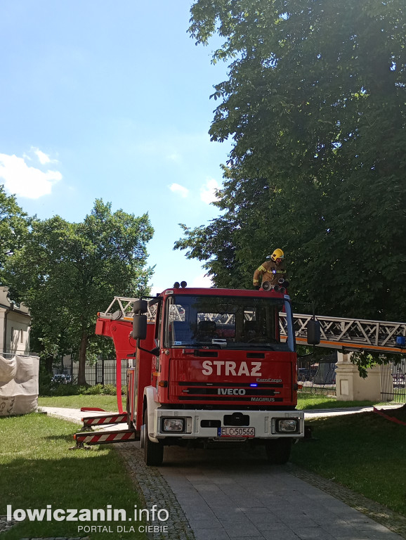 Ponad 100 strażaków w łowickiej Katedrze
