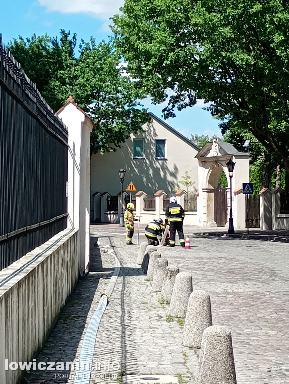 Ponad 100 strażaków w łowickiej Katedrze