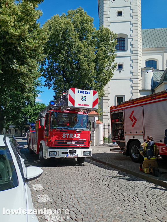 Ponad 100 strażaków w łowickiej Katedrze