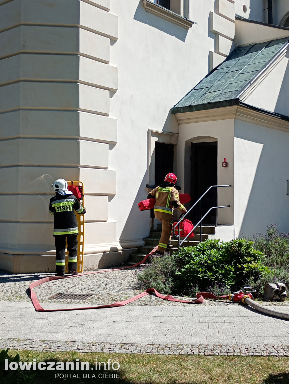Ponad 100 strażaków w łowickiej Katedrze