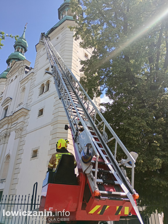 Ponad 100 strażaków w łowickiej Katedrze