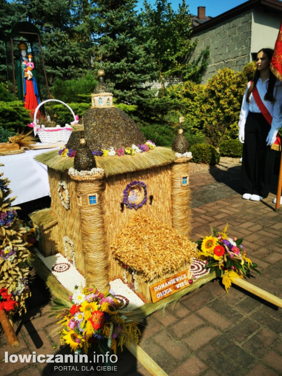 Uroczysta msza święta przy Sanktuarium w Domaniewicach.