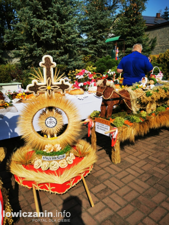 Uroczysta msza święta przy Sanktuarium w Domaniewicach.