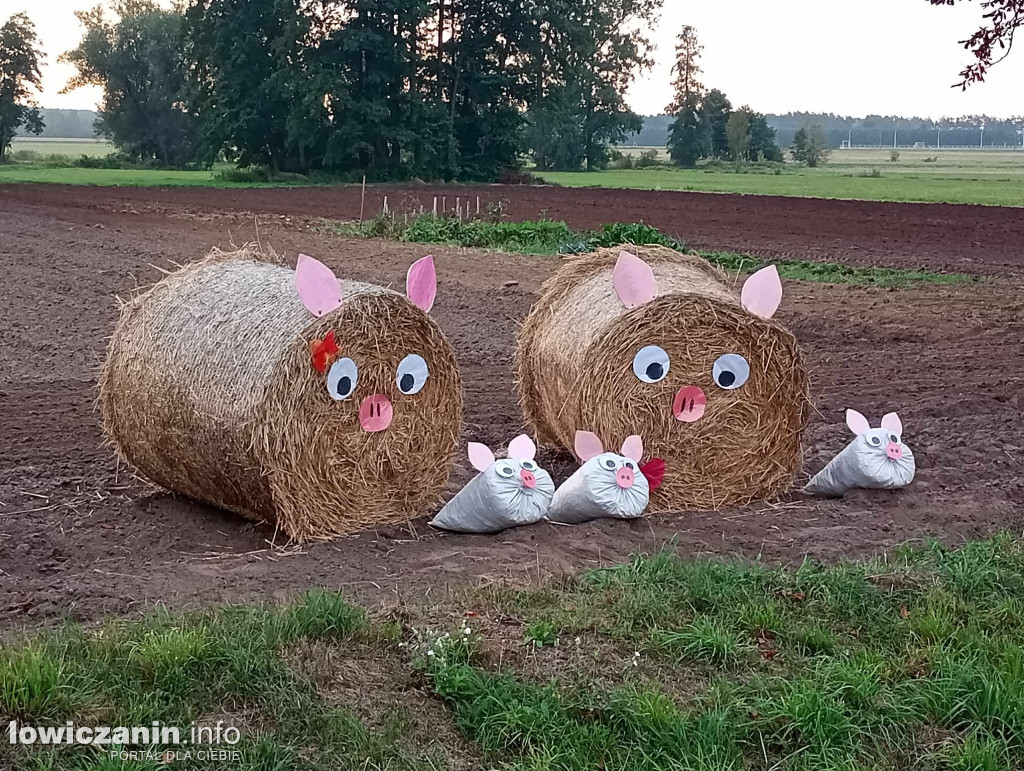 Słomiane cuda na dożynki w Jamnie