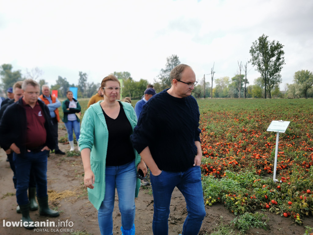 Kampania Pomidorowa w Bocheniu