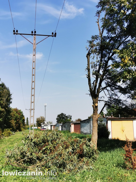 Zniszczone drzewa pomiędzy DK14 a ul. Tuszewską